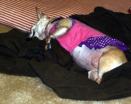 It's exhausting being a Diva!!!!